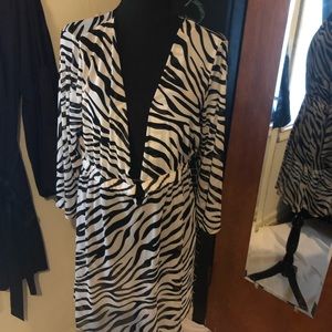 Zebra cover up